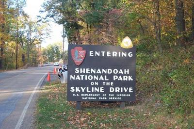 shen115-l US PARKS.jpg