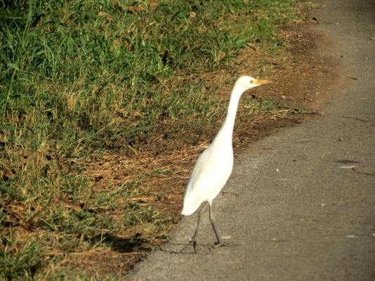 IMG_3040.JPG