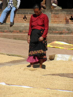 IMG_3861.JPG