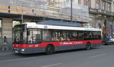 800PX-~1.JPG