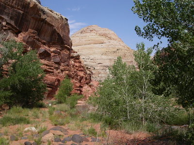Capitol Dome