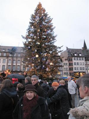IMG_6181 (Large).JPG