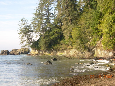 DSCN0781.JPG