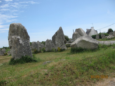 shina 176.jpg