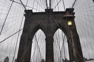 DSC_1488.JPG