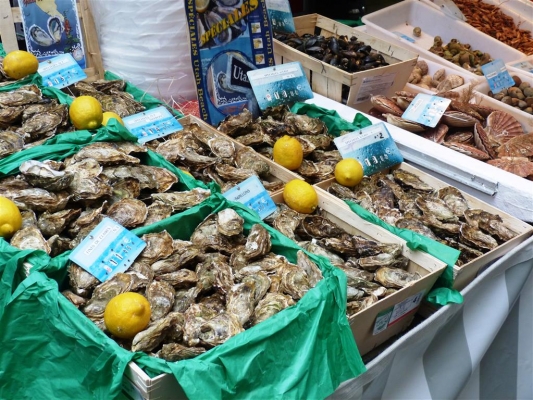 2. Paris - P1090191 (Medium).JPG