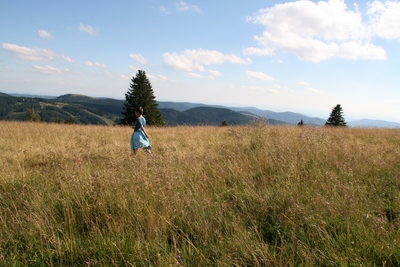 Feldberg.jpg