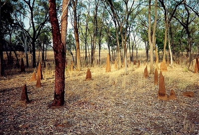 scan0021.jpg