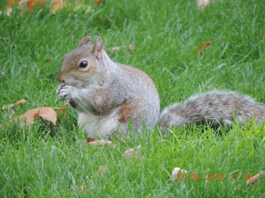 DSCN0539.JPG