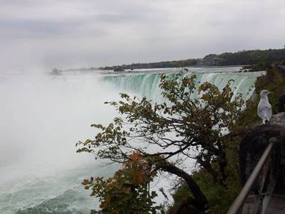 image126.jpg