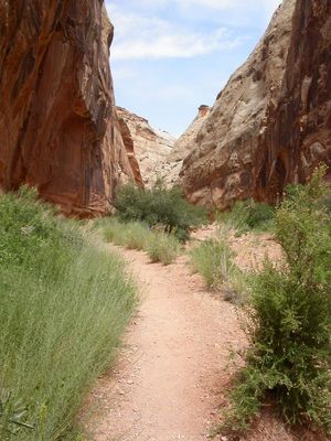 Capitol Gorge