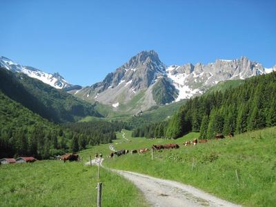 IMG_0242.JPG