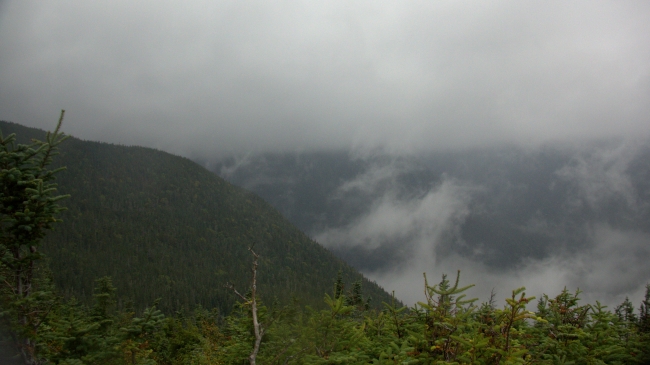 IMG_1878.CR2.jpg
