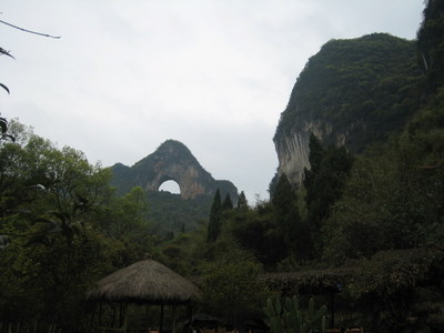 IMG_1462.jpg