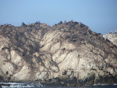 IMG_0722.JPG