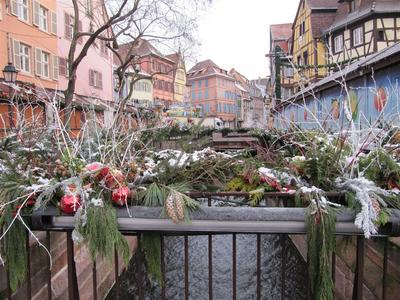 IMG_5786 (Large).JPG