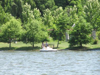 IMG_3675 (Medium).JPG