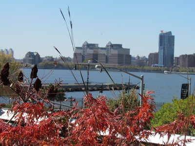 HIGH LINE PARK - להשקיף על ההדסון