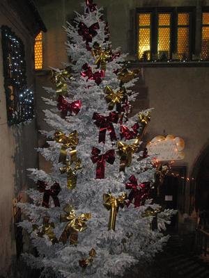 IMG_5911 (Large).JPG