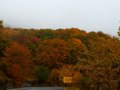 2011-10-25 13.35.04.jpg