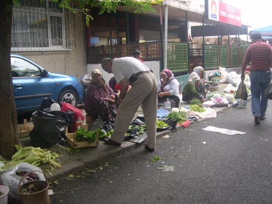 DSCN0110.JPG