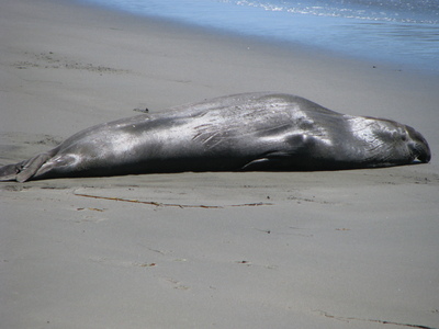 piedras Blancas
