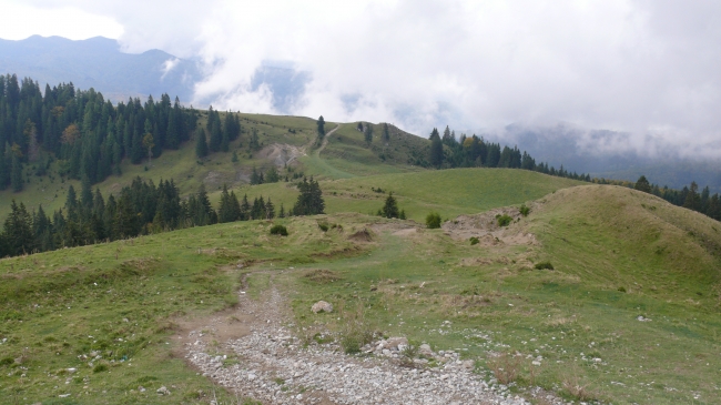 P1050216.JPG