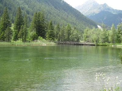 IMG_0375.JPG