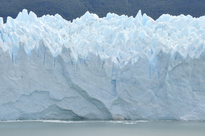DSC_0918.JPG