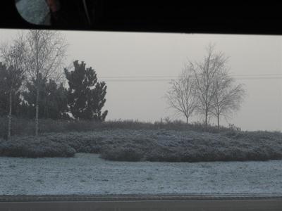 IMG_5693 (Large).JPG