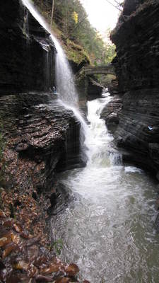 IMG_1995: Watkins Glen - מפל תלול, מפל מדורג וגשר