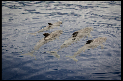 DSC_2952+fb.jpg