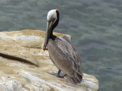 P1000760.JPG