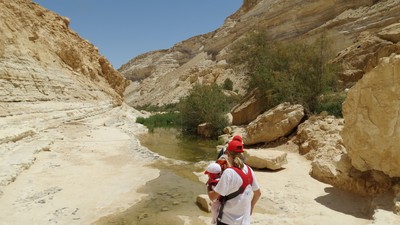IMG_0359 (Large).JPG