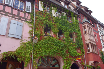 IMGP3788.JPG