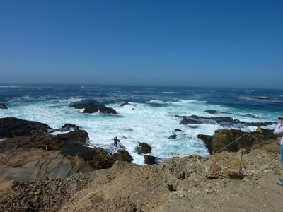 Point Lobos.
