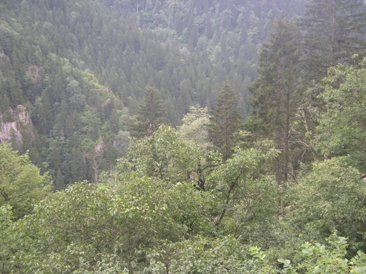 DSCN0064.JPG