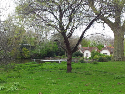 20130428_164017.jpg
