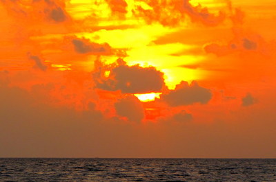 IMG_6865.JPG