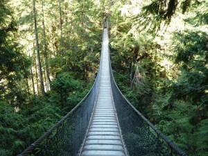 קניון לין - Lynn Canyon