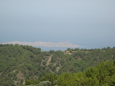 IMG_8325.JPG