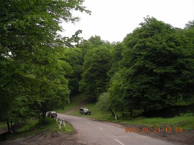 DSCN3564.jpg