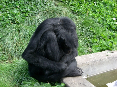 CIMG6522.jpg