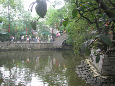 DSCN4895.jpg