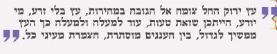 אגדת העץ