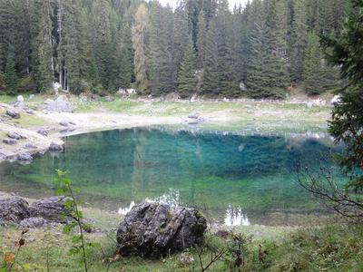 IMG_2404 (Medium).JPG