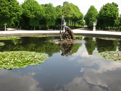 IMG_3379.jpg