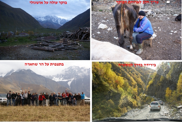 יום מספר 6.jpg