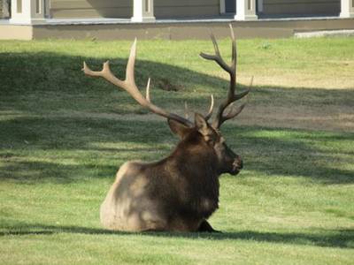 image078.jpg