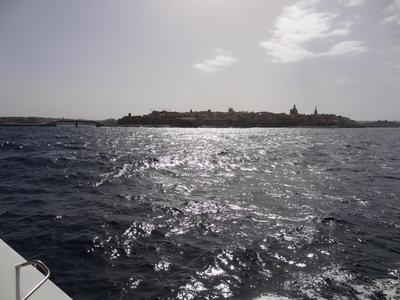 HarborCruse2.jpg